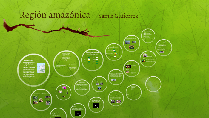 Region amazonica by Samir Leonardo Gutierrez Vargas on Prezi