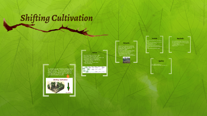 shifting-cultivation-by-mazlum-yildiz