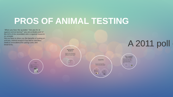 ANIMAL TESTING by Mikaela Morgan