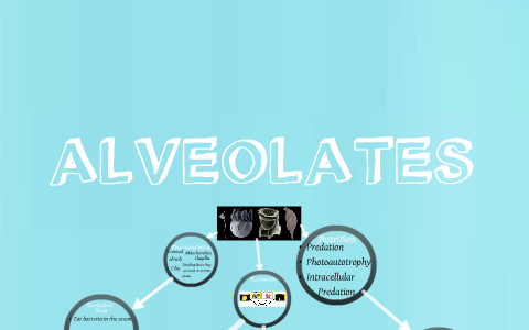 Alveolates by Marine Biology on Prezi