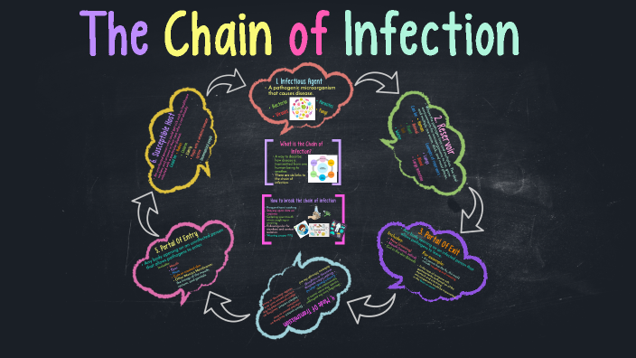 Chain of Infection by Dora Santos on Prezi
