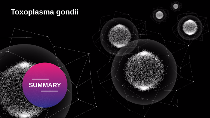 toxoplasma gondii reactivo