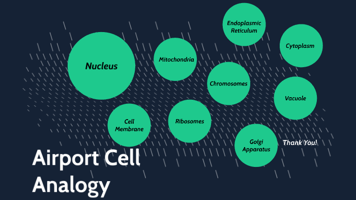 cell analogy by Paige Suter on Prezi