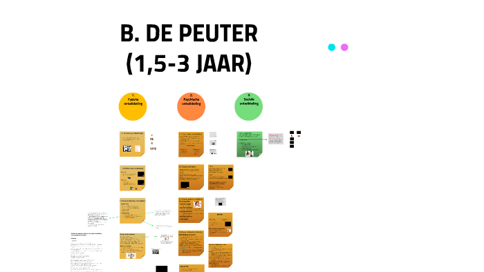 B De Peuter By Chris Van Akeleyen