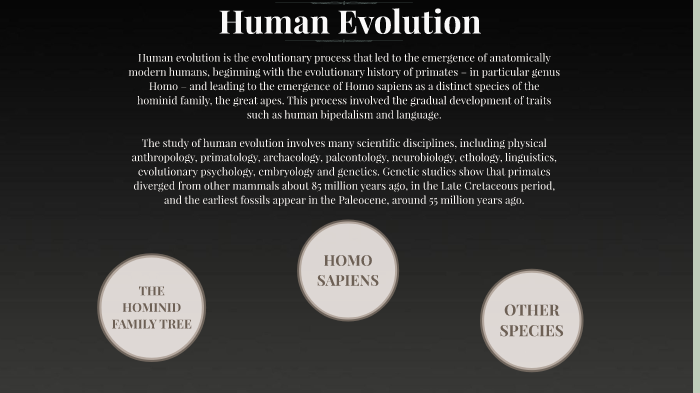 Human Evolution by Gabriele Colucci on Prezi