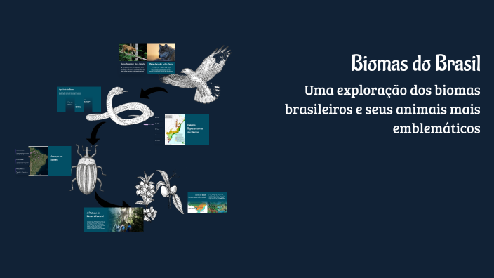 Biomas do Brasil by Leonardo Matheus Servino on Prezi