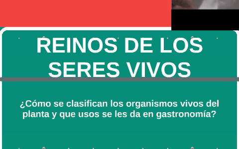 ¿Cómo se clasifican los organismos vivos del planta y que us by ETILSON ...