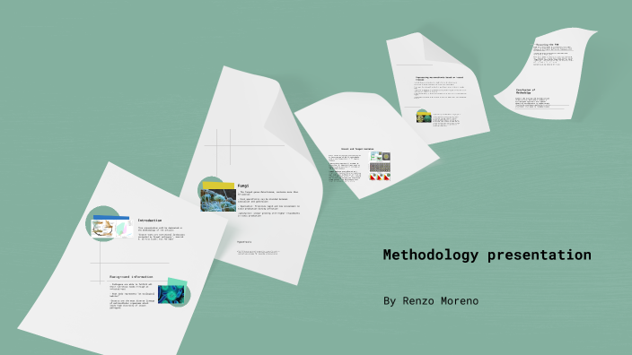 Methodology presentation by Renzo Moreno on Prezi