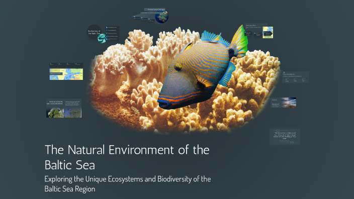 The Natural Environment of the Baltic Sea by Dawid Klimczyk on Prezi