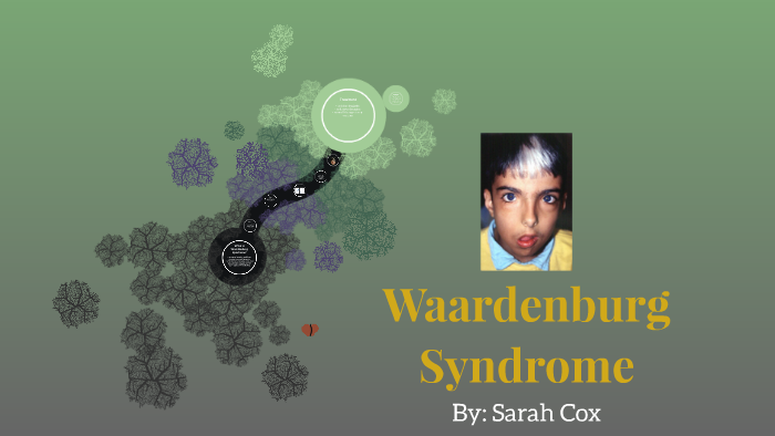 Waardenburg Syndrome by Sarah Cox