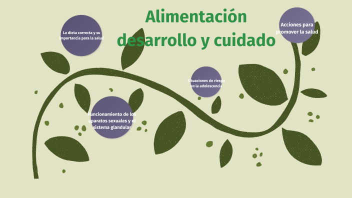 Funcionamiento De Los Aparatos Sexuales Y El Sistema Glandular By Adriana De Los Cobos Sánchez 1468