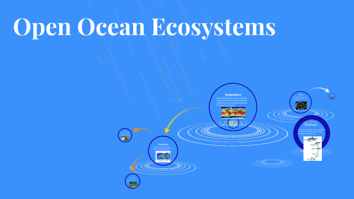 Open Ocean Ecosystems by Maggie Schultz on Prezi