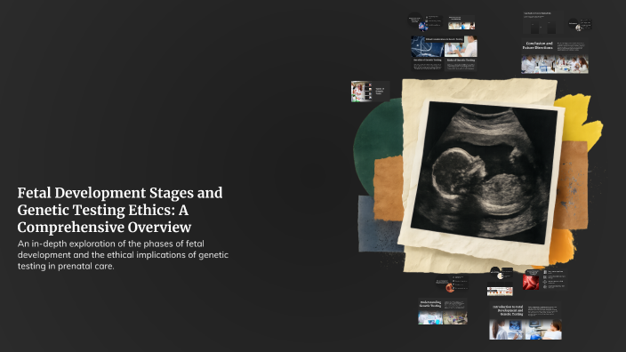 Fetal Development Stages and Genetic Testing Ethics: A Comprehensive ...