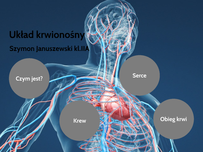 Czym Się Różni Układ Krwionośny Od Limfatycznego Układ krwionośny by Mr. Spaghetti