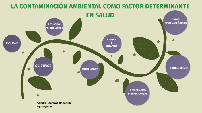 La Contaminación Ambiental Como Factor Determinante De La Salud