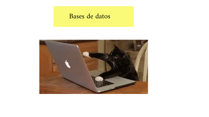 Bases de datos by Johana Gutierrez on Prezi