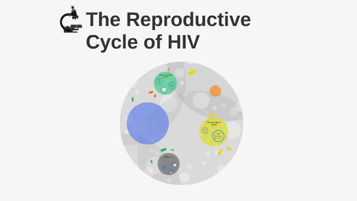 The Reproductive Cycle of HIV by Julianne Smith on Prezi