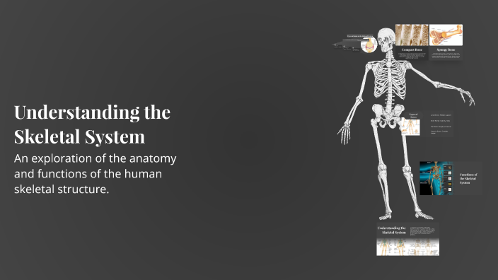 Understanding the Skeletal System by Ermir Arifi on Prezi