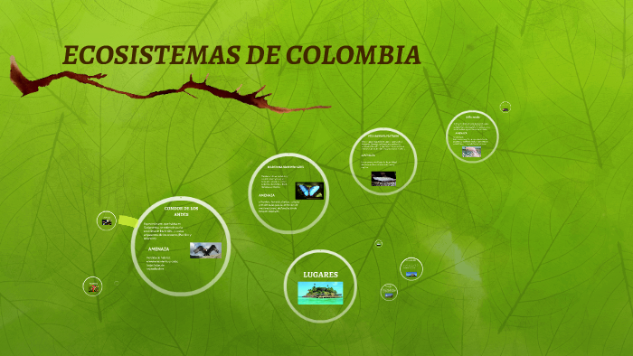 ECOSISTEMAS DE COLOMBIA by salome alvarez on Prezi