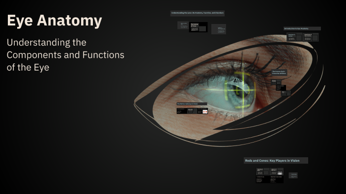 Eye Anatomy by Joshua Valecia on Prezi