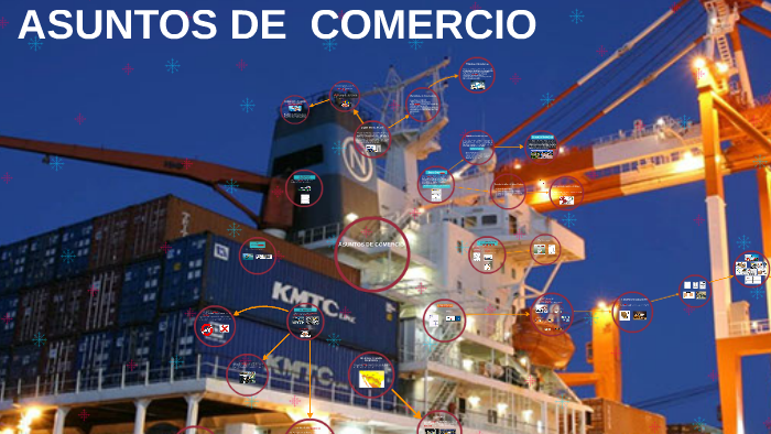 ASUNTOS DE COMERCIO EXTERIOR CAP 8 by diana carolina