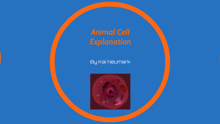 Animal Cell Explanation by Kai Neumark on Prezi