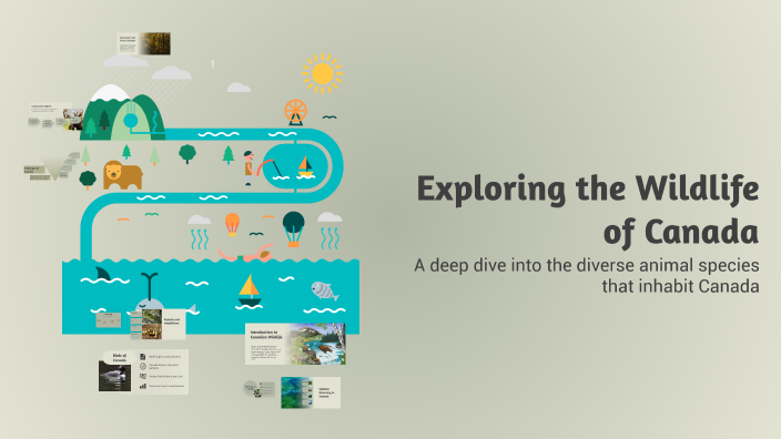 Exploring the Wildlife of Canada by Iryna Koval on Prezi