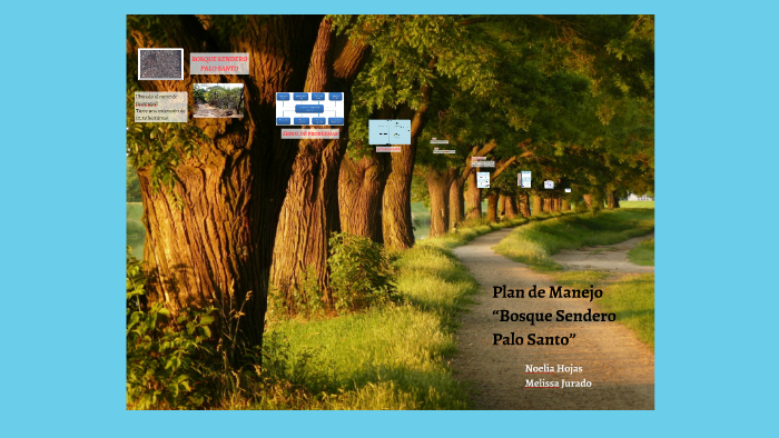 Plan de Manejo “Bosque Sendero Palo Santo” by Adriana Made on Prezi Next