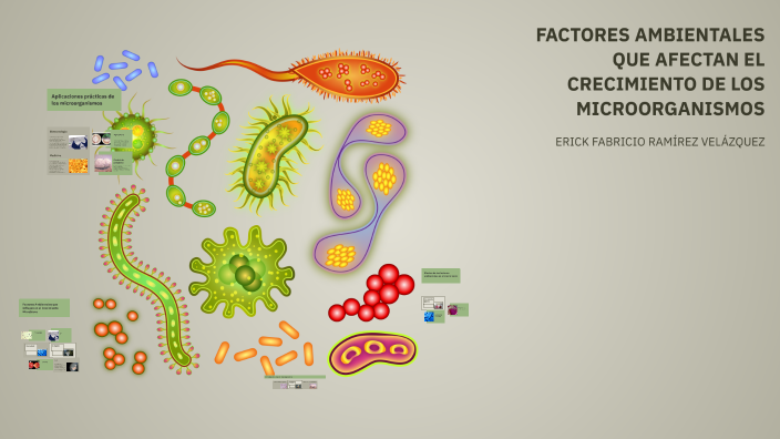 FACTORES AMBIENTALES QUE AFECTAN EL CRECIMIENTO DE LOS MICROORGANISMOS ...