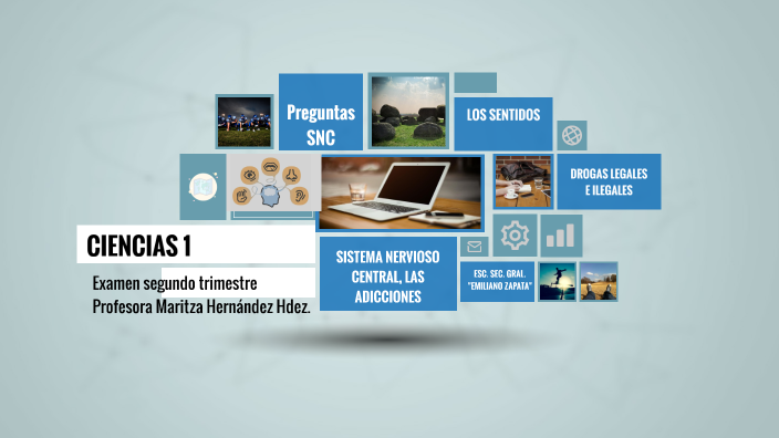 Biología by Maritza Hernández Hernández on Prezi