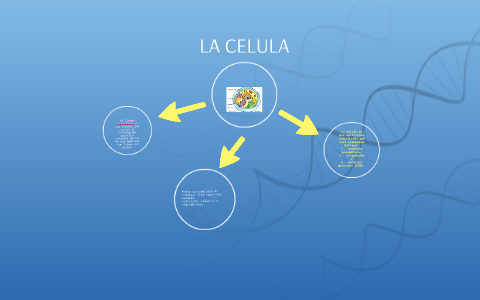 LA CELULA by luz marina rodriguez linares on Prezi