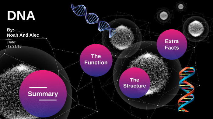 DNA (Structure and Function) NJM AL by NOAH MCRAE on Prezi