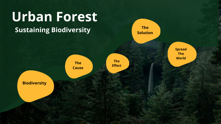 Urban Forest For Sustaining Biodiversity By Zohaib `Ali On Prezi