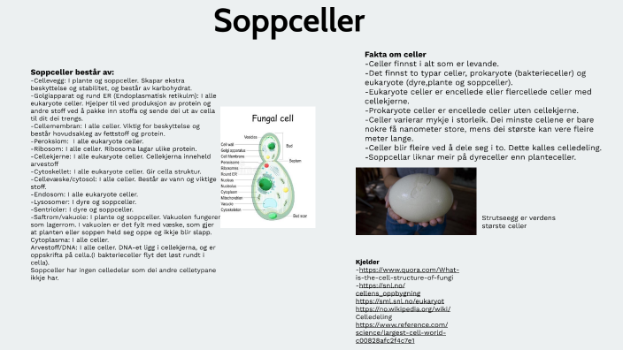 Lab Report Sample Pdf For Students Science
