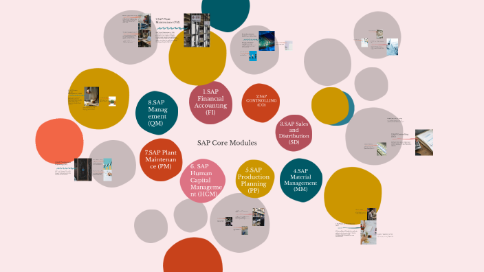 Understanding SAP Core Modules by Esra Kasapoğlu on Prezi