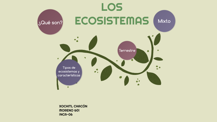 LOS ECOSISTEMAS by hw luu on Prezi