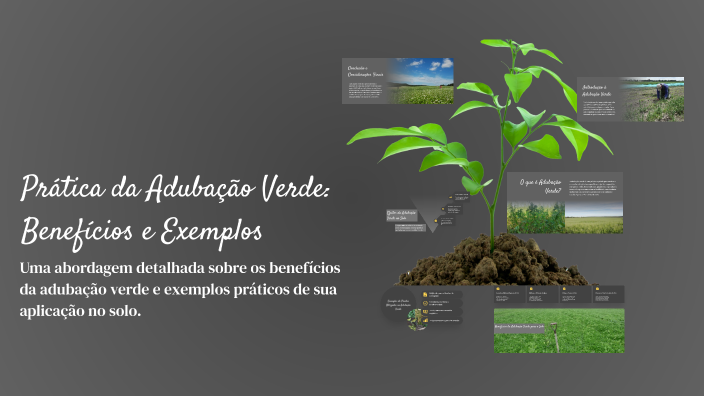 Prática da Adubação Verde: Benefícios e Exemplos by Fernanda De Jesus ...