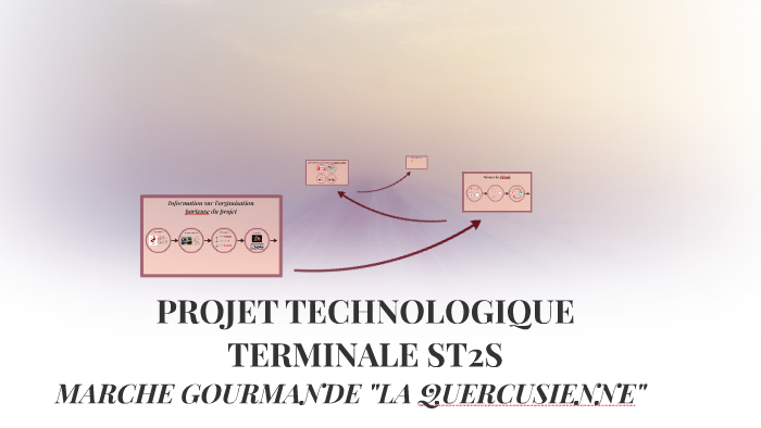 PROJET TECHNOLOGIQUE TERMINALE ST2S by Cassandra CESARIO on Prezi