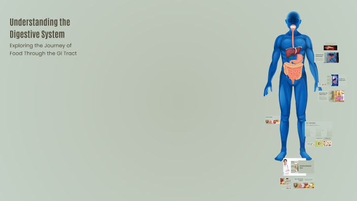 Understanding the Digestive System by anidia ch on Prezi