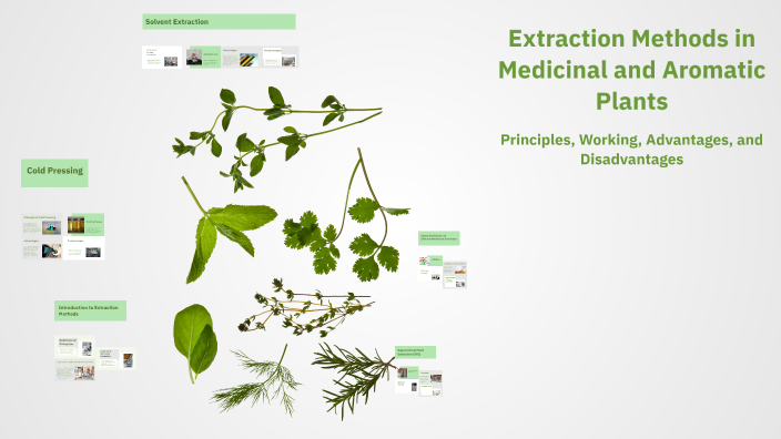 Extraction Methods in Medicinal and Aromatic Plants by Yashwant Tariyal ...