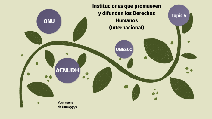 Instituciones que promueven y difunden los Derechos Humanos ...
