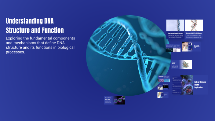 Understanding DNA Structure and Function by Yousef Motamedi on Prezi