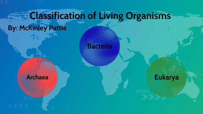 McKinley Pattie Classification Project 2023 by McKinley Pattie on Prezi