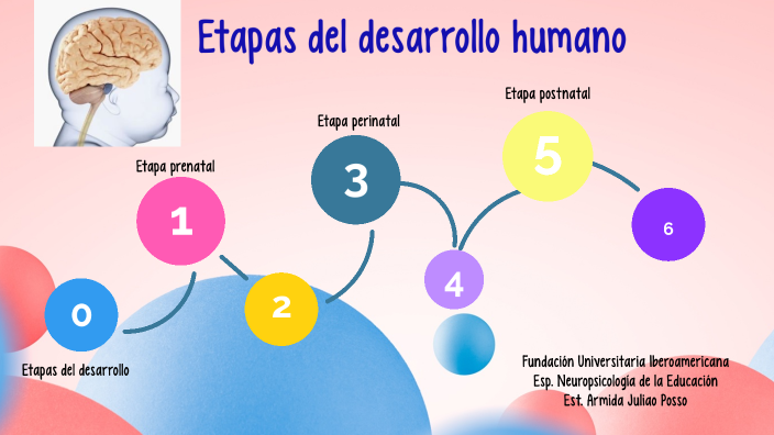 Etapas del desarrollo humano by Armi Juliao on Prezi