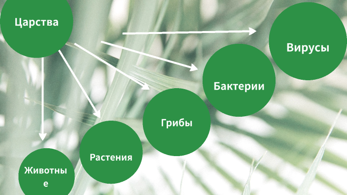 4 буквы последняя я wow