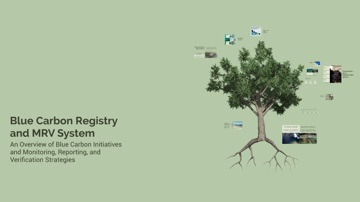 Blue Carbon Registry and MRV System by The Chosen One on Prezi