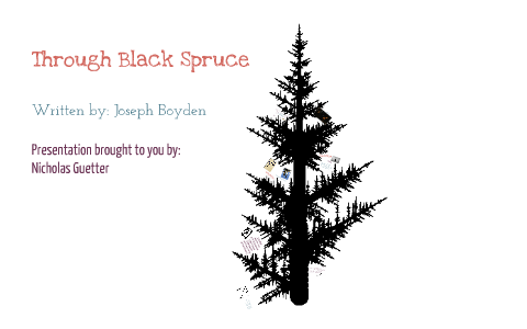 Through Black Spruce by Nick G on Prezi