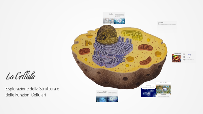 La Cellula by Daniela Guglielmini on Prezi