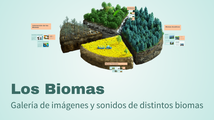 Los Biomas by jeferson muñoz on Prezi