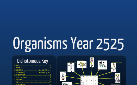 TAXONOMY IN 2525 visual data 4